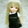 Wig / 4-5 inch / Straight Long