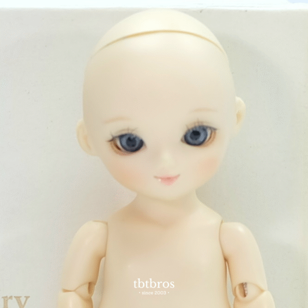 Blue Fairy / Pocket Fairy / Special Choco (Girl)