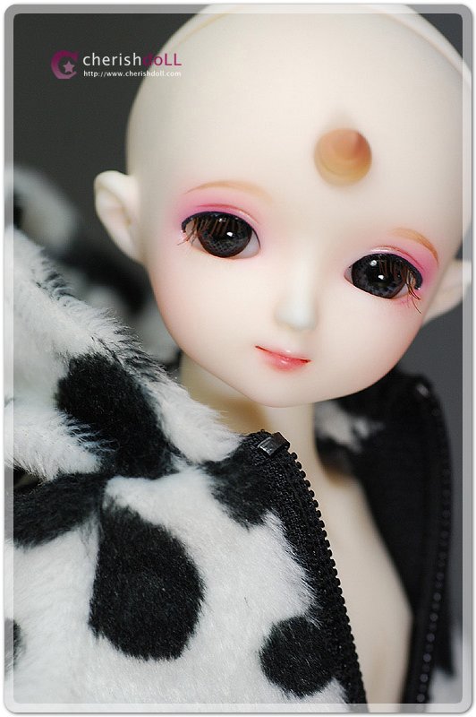 Cherishdoll / Alley Unicon