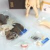 Doll Factory / Pet Ari / Shy Cheshire Cat