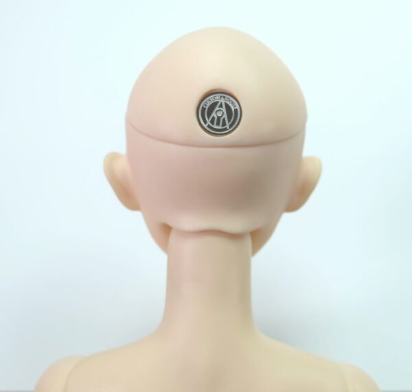 Custom House / The Ai / Hyun Basic