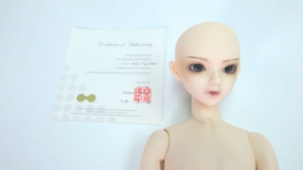 Custom House / The Ai / Hyun Basic