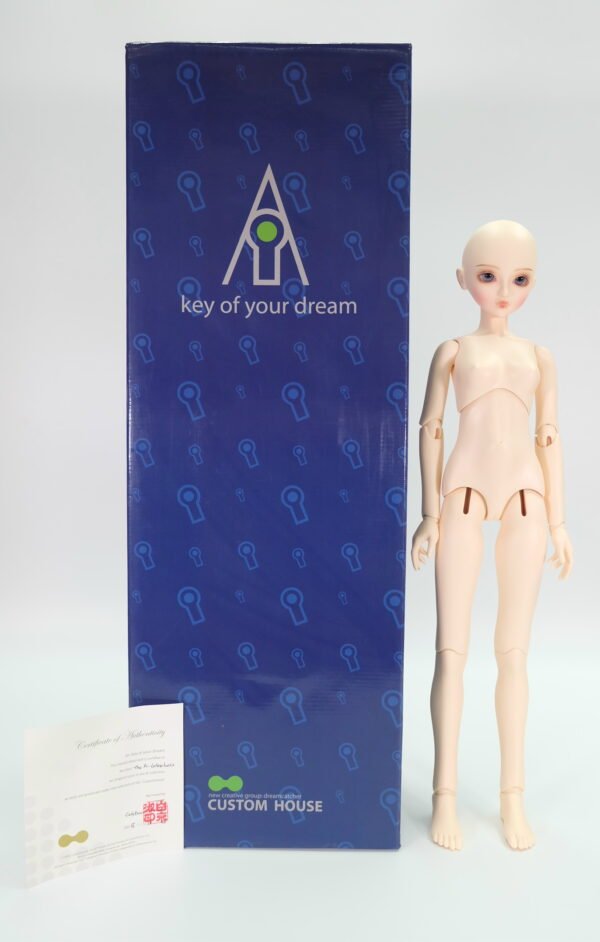 Custom House / The Ai / Cebee Basic