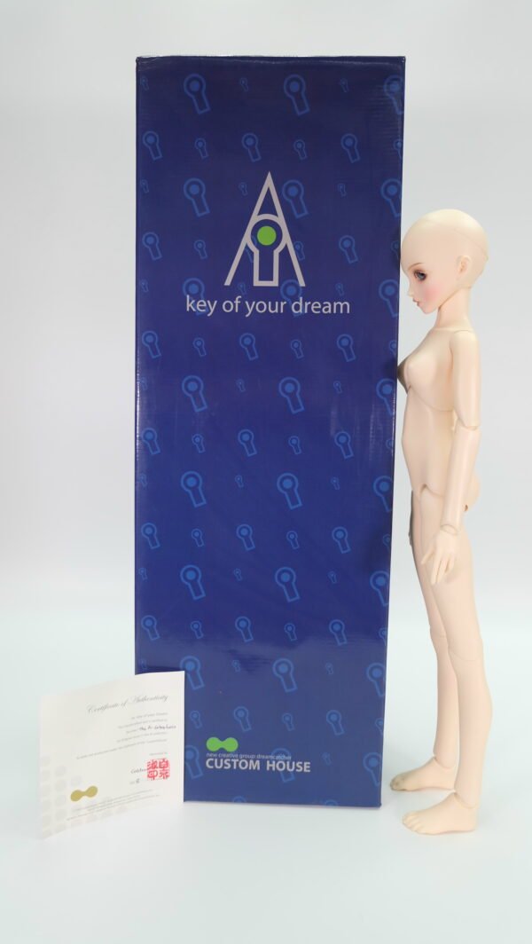 Custom House / The Ai / Cebee Basic