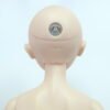 Custom House / The Ai / Cebee Basic