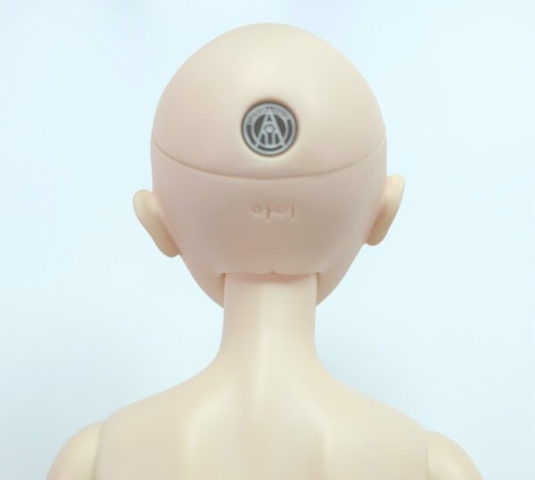 Custom House / The Ai / Cebee Basic