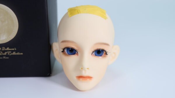 Dollmore / Lisa Head