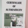 Doll Factory / Pet Ari / Senior Bobo (Girl)
