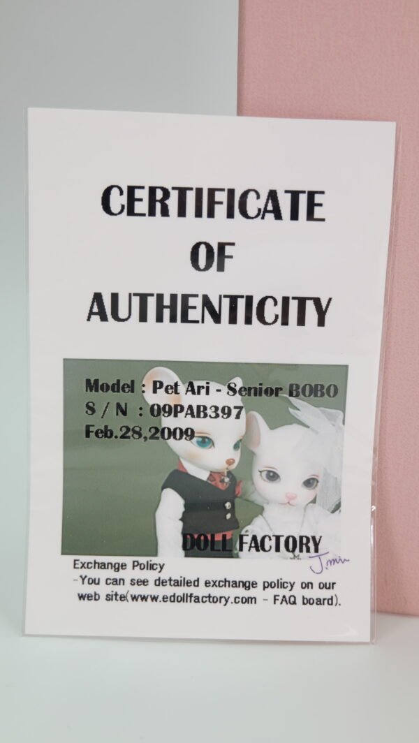Doll Factory / Pet Ari / Senior Bobo (Girl)