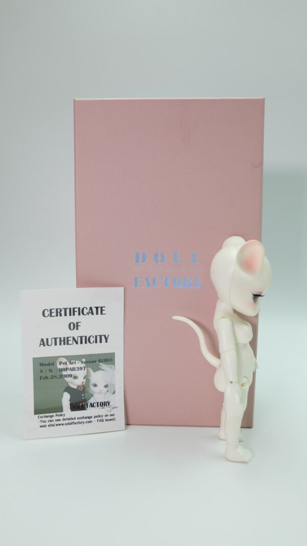 Doll Factory / Pet Ari / Senior Bobo (Girl)