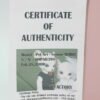 Doll Factory / Pet Ari / Senior Bobo (Boy)