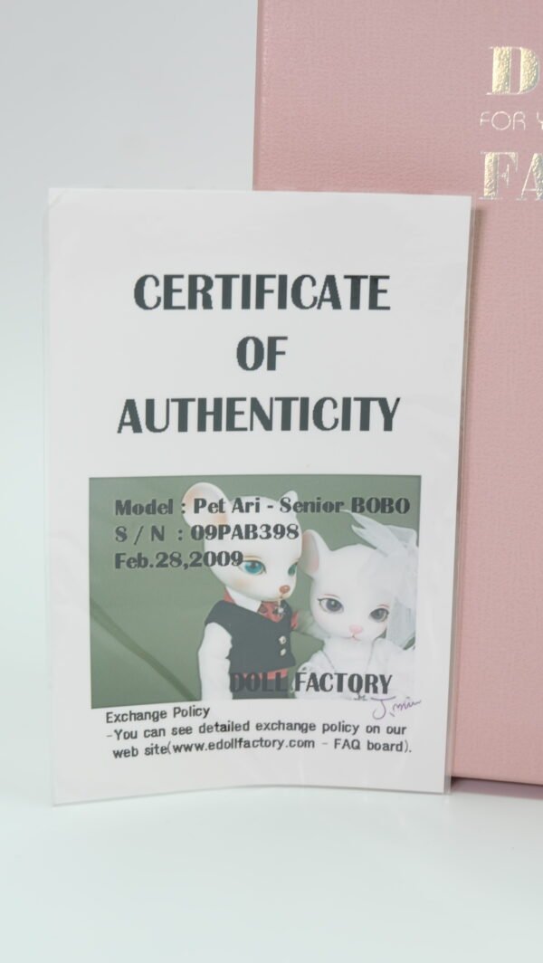 Doll Factory / Pet Ari / Senior Bobo (Boy)