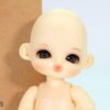 Domadoll / IPPO