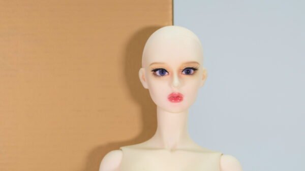 Dollmore Doll / Glamor Sara / LE30