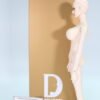 Dollmore Doll / Glamor Sara / LE30