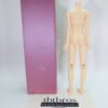 Dollzone / Male body