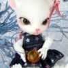 Doll Factory / Pet Ari / Bobo Girl