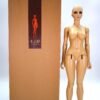 Iplehouse / E.I.D (Elder Iplehouse Doll) / Jessica