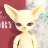 Doll Factory / Pet Ari / Baby Fennec Popo (Normal Skin)