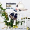 Doll Factory / Pet Ari / Bobo Boy