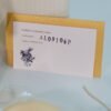 Piposland / Shy Cheshire