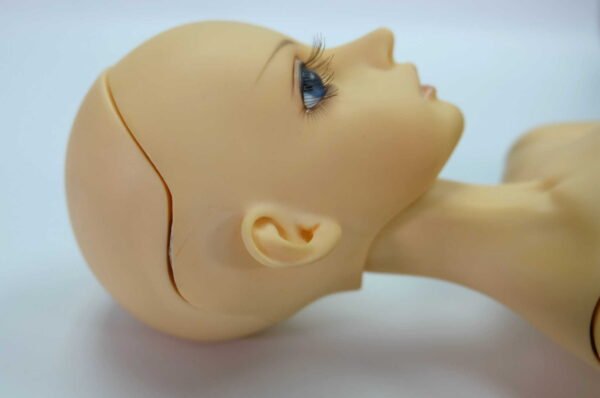 Luts / Lishe Special
