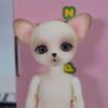 Luts / Zuzu Delf Papi / The Pilot