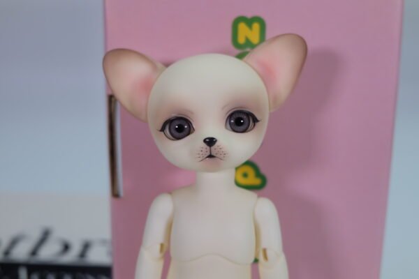 Luts / Zuzu Delf Papi / The Pilot