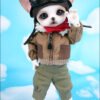 Luts / Zuzu Delf Papi / The Pilot