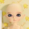 Lati / Yellow line / Vampire Miel ( Limited )