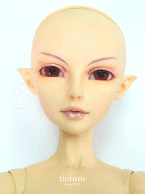 Luts / Lishe Elf