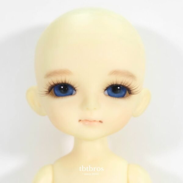 Lati / Yellow line / Coco Basic