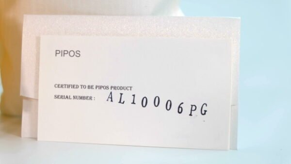 Piposland / Ruth The Pig