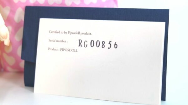 Piposland / Ringo Basic 2