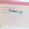 Piposland / Rooney Diary