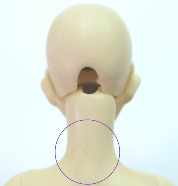 Unoa / Unoa Quluts 2nd / Unoa Cream & Dolly Sweet Face