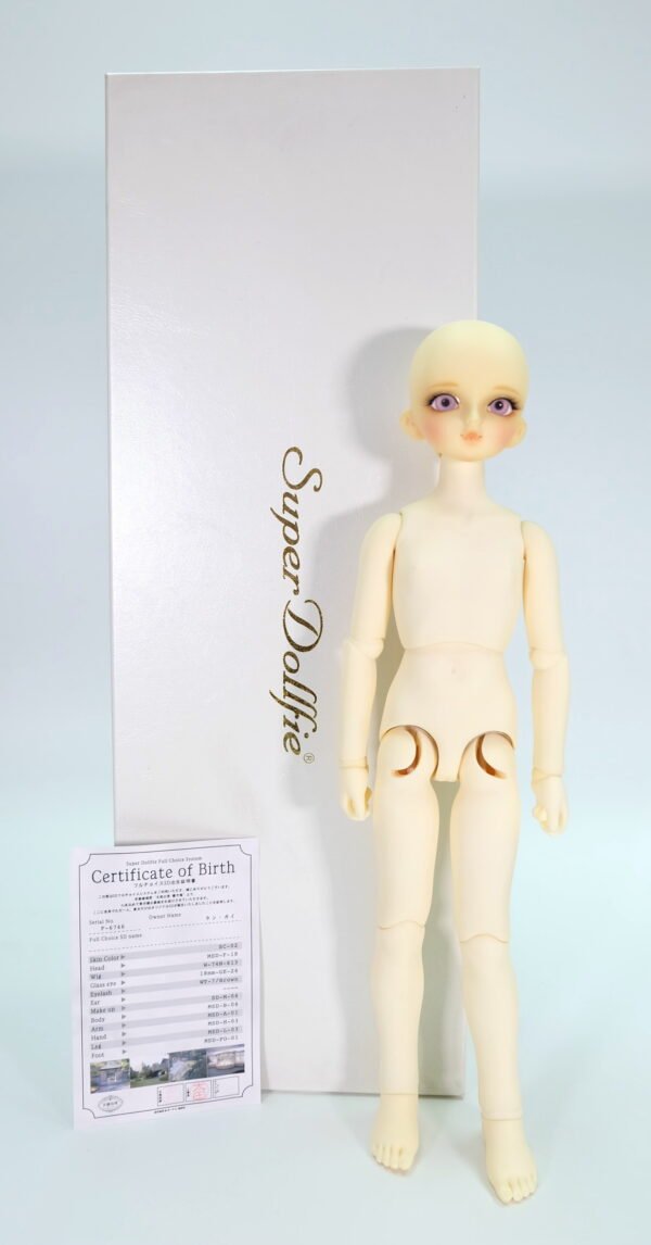 Volks / MSD / Full Choice System (Order-made)