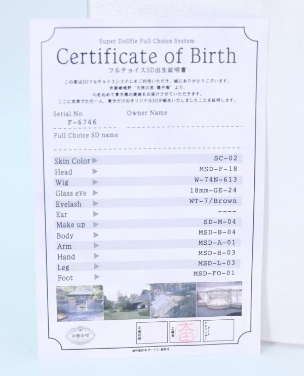 Volks / MSD / Full Choice System (Order-made)