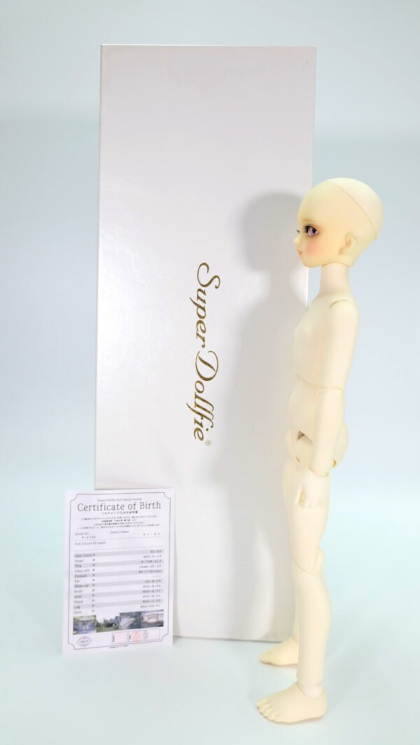 Volks / MSD / Full Choice System (Order-made)