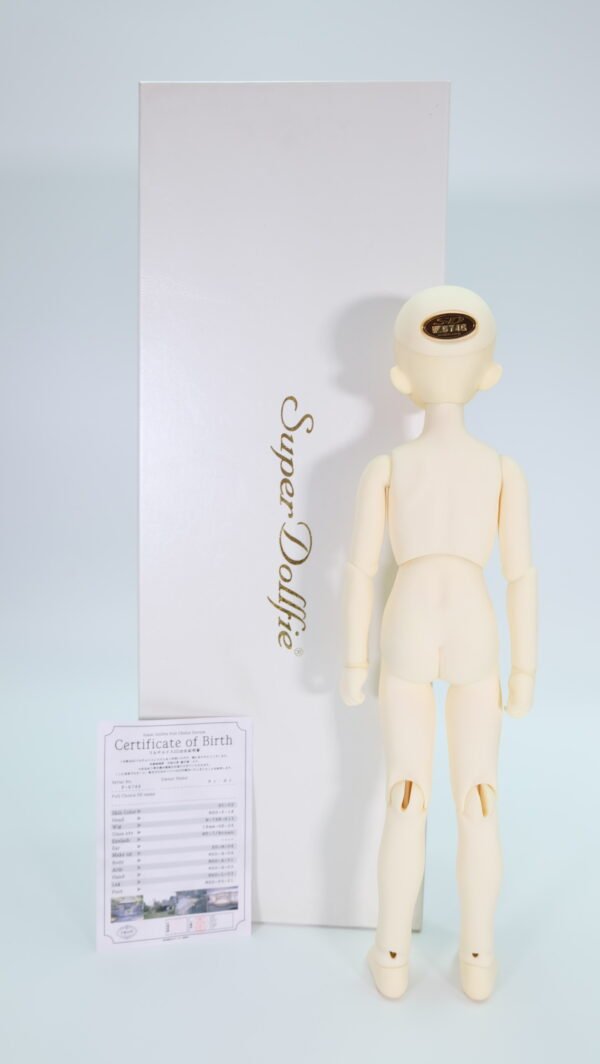 Volks / MSD / Full Choice System (Order-made)