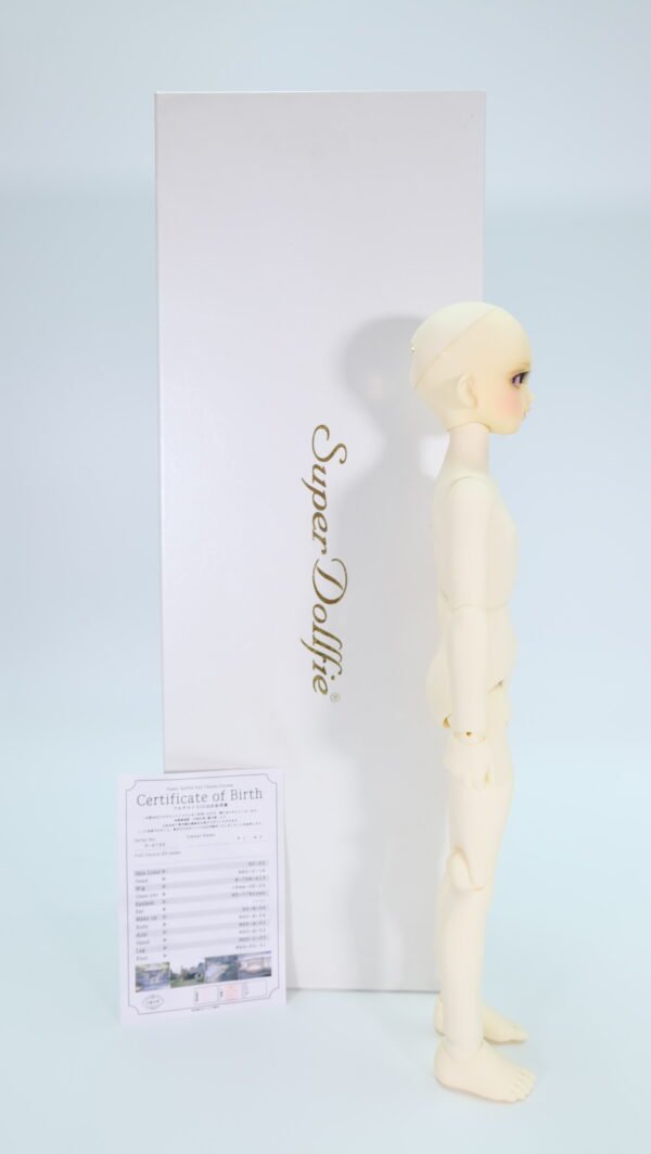 Volks / MSD / Full Choice System (Order-made)