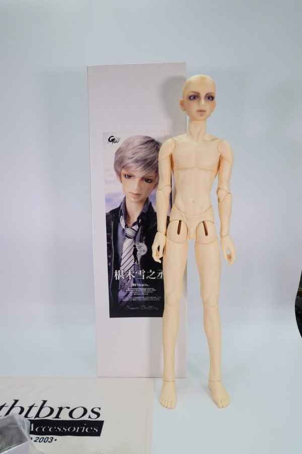 Volks / SD / Yukinojo Sawaragi (椹木雪之丞)