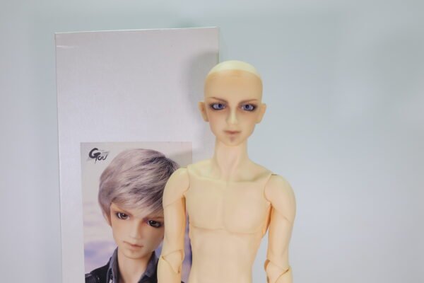 Volks / SD / Yukinojo Sawaragi (椹木雪之丞)