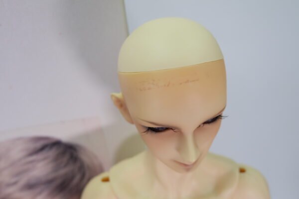 Volks / SD / Yukinojo Sawaragi (椹木雪之丞)