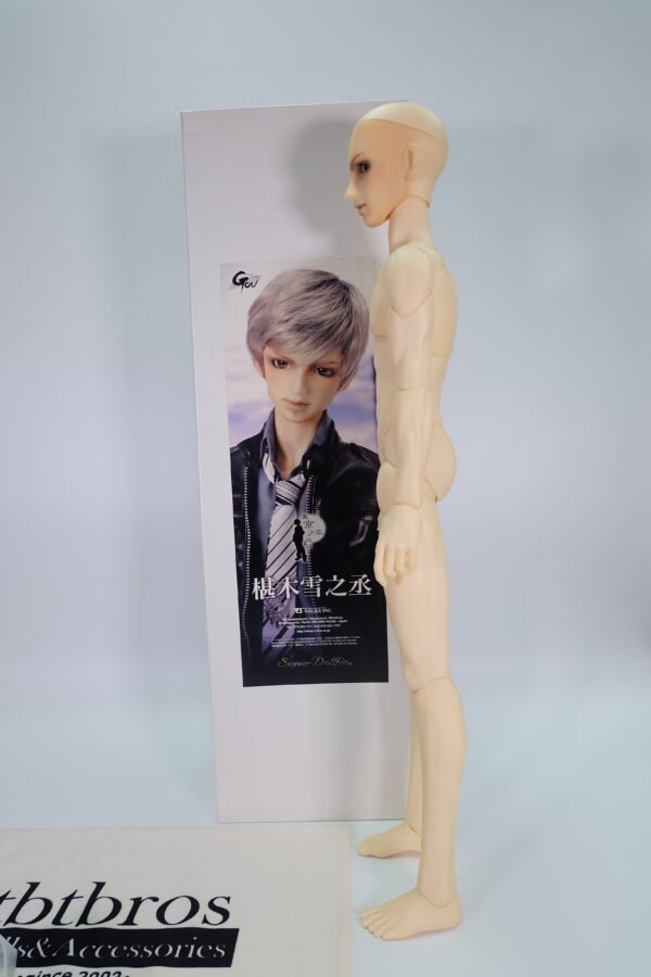 Volks / SD / Yukinojo Sawaragi (椹木雪之丞)