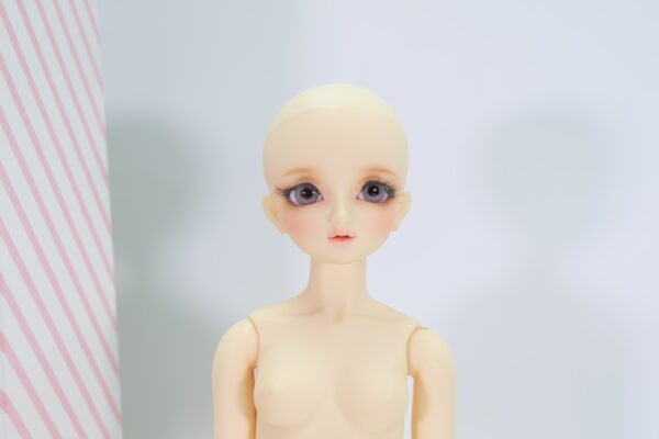 Volks / MSD / May