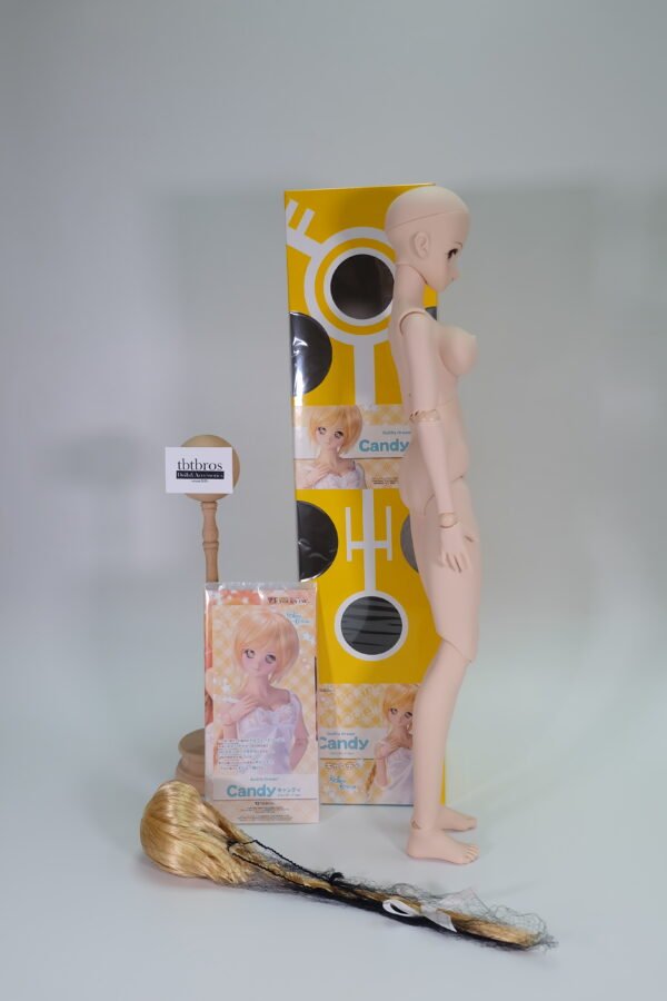 Volks / DD / Base Body(Candy standard version)