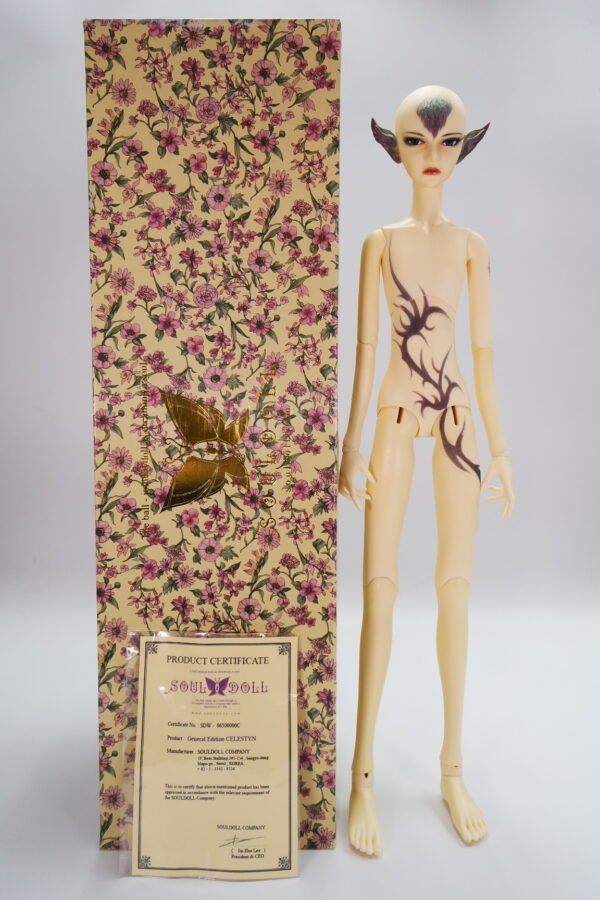 Souldoll / General Edition Celestyn