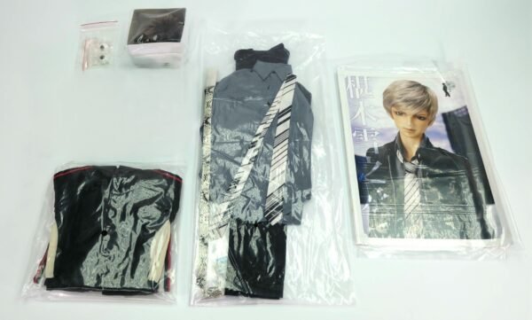 Volks / SD / Yukinojo Sawaragi (椹木雪之丞)