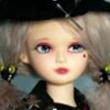Souldoll / Event Full Set / Griffi